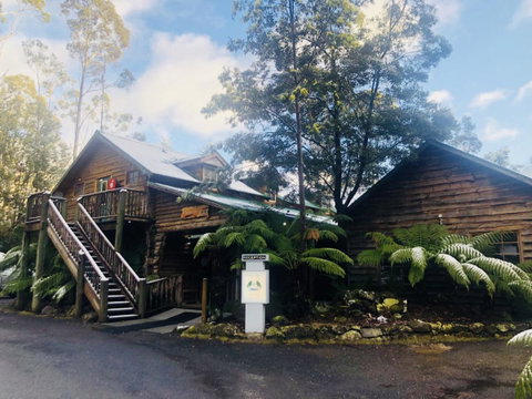 Lemonthyme Wilderness Retreat - Kempsey Accommodation 4