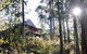 Lemonthyme Wilderness Retreat - thumb 25