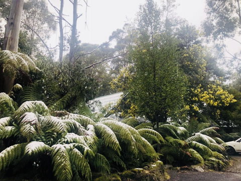 Lemonthyme Wilderness Retreat - Kempsey Accommodation 16