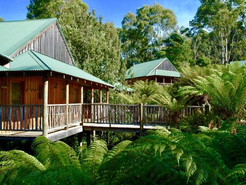 Lemonthyme Wilderness Retreat - Kempsey Accommodation 11