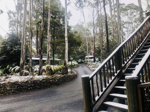 Lemonthyme Wilderness Retreat - Kempsey Accommodation 15