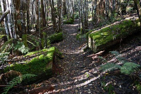 Lemonthyme Wilderness Retreat - Kempsey Accommodation 22