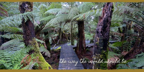 Lemonthyme Wilderness Retreat - Kempsey Accommodation 17