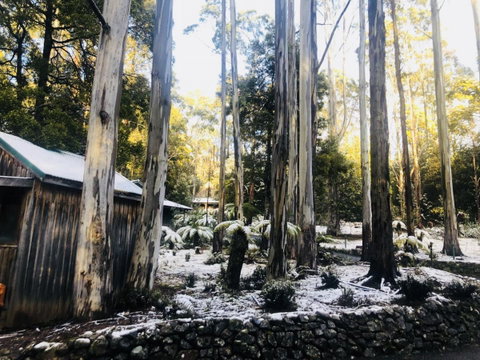 Lemonthyme Wilderness Retreat - Kempsey Accommodation 6