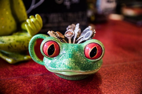 The Pickled Frog - Kempsey Accommodation 13