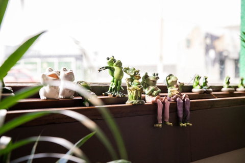 The Pickled Frog - Kempsey Accommodation 12