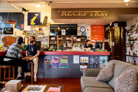 The Pickled Frog - Kempsey Accommodation 0