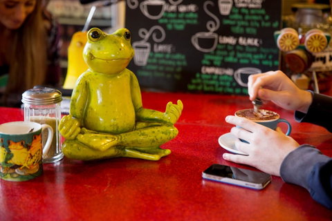The Pickled Frog - Kempsey Accommodation 30