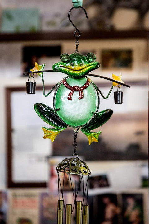 The Pickled Frog - Kempsey Accommodation 35