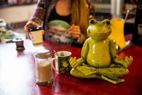 The Pickled Frog - Kempsey Accommodation 32