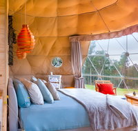 Domescapes in the Vines - Kempsey Accommodation