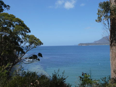 Osprey Lodge & Bungalow - Kempsey Accommodation 3