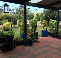 Blue Wren Bungalow - Kempsey Accommodation