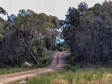 BAY OF FIRES ECO HUT Off Grid Experience At Binalong Bay - Kempsey Accommodation 12