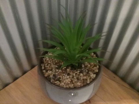 Tullah Tavern - Kempsey Accommodation 6