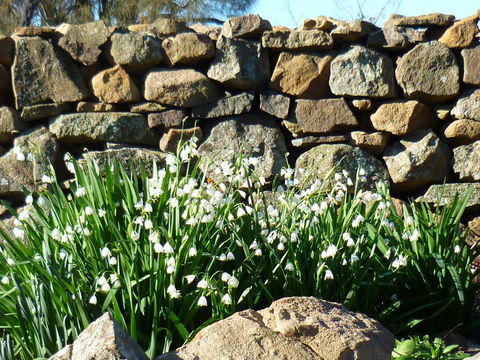 Wagners Cottages - Kempsey Accommodation 11