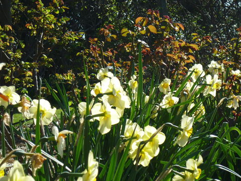 Wagners Cottages - Kempsey Accommodation 13