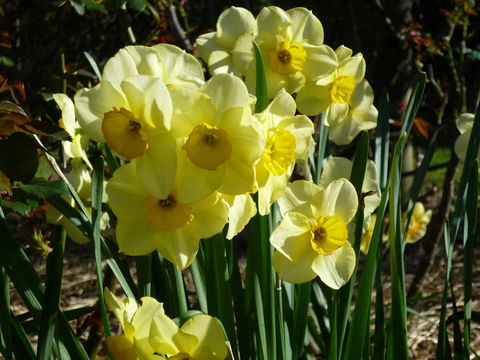 Wagners Cottages - Kempsey Accommodation 14