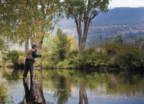 Platypus Playground Riverside Cottage - Kempsey Accommodation 26