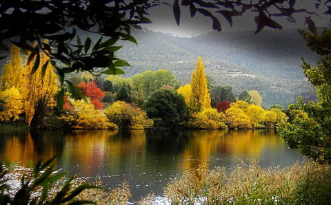 Platypus Playground Riverside Cottage - Kempsey Accommodation 15