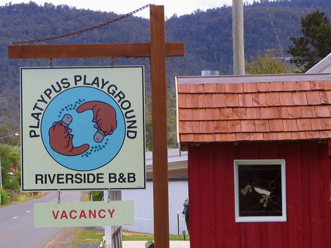 Platypus Playground Riverside Cottage - Kempsey Accommodation 21