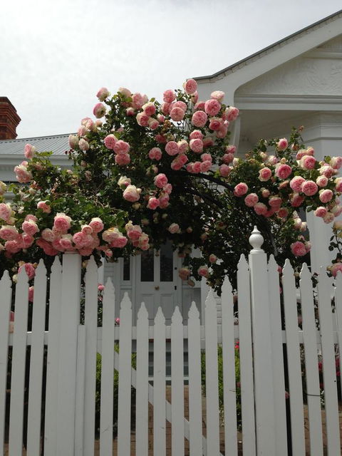White Dove Cottage Bed And Breakfast - Kempsey Accommodation 10