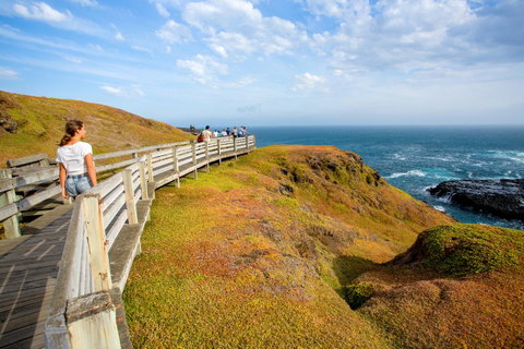 BIG4 Ingenia Holidays Phillip Island - Kempsey Accommodation 19