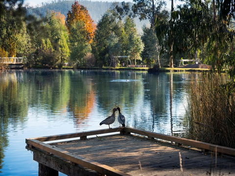 Peppers Marysville - Kempsey Accommodation 12