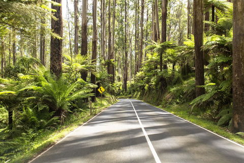 Peppers Marysville - Kempsey Accommodation 21