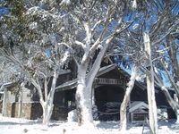 Book Dinner Plain Accommodation Vacations Kempsey Accommodation Kempsey Accommodation