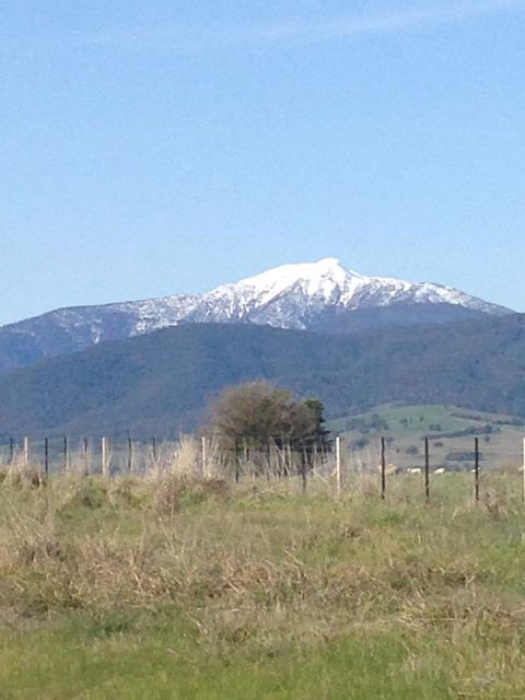 High Country Holiday Park - Kempsey Accommodation 34