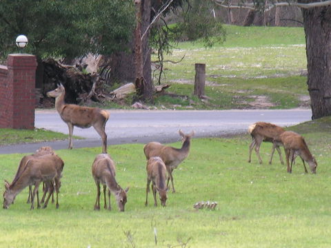 The Grampians Motel - Kempsey Accommodation 23
