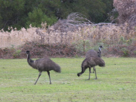 The Grampians Motel - Kempsey Accommodation 22