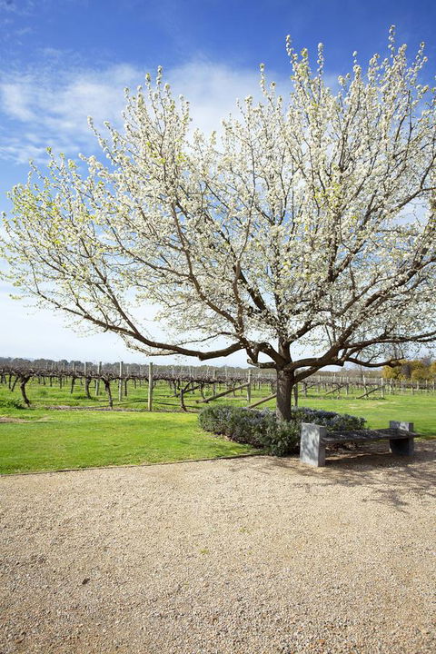 Lancemore Milawa - Kempsey Accommodation 12