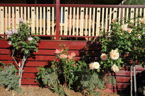 Oxford Rise Apartment - Kempsey Accommodation 21