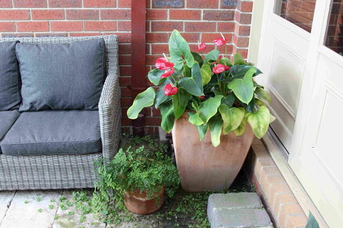 Oxford Rise Apartment - Kempsey Accommodation 16