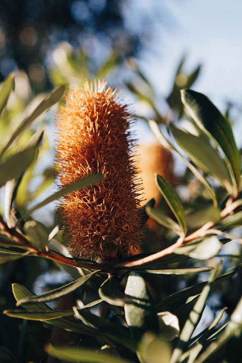 Dunkeld Studio Accommodation - Kempsey Accommodation 19