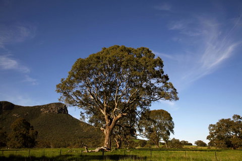 Dunkeld Studio Accommodation - Kempsey Accommodation 23