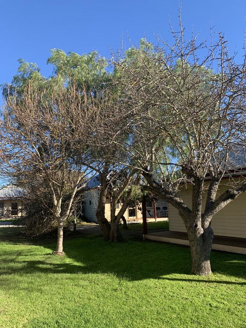 Dunkeld Studio Accommodation - Kempsey Accommodation 4