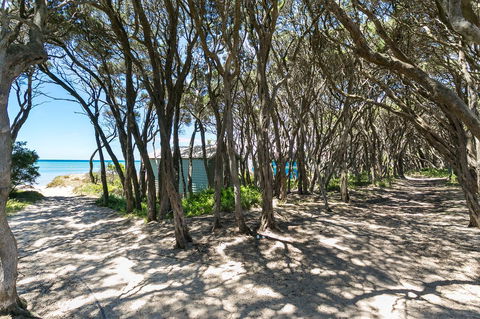 Blairgowrie Bella - Light Filled Home With Great Deck - Kempsey Accommodation 12