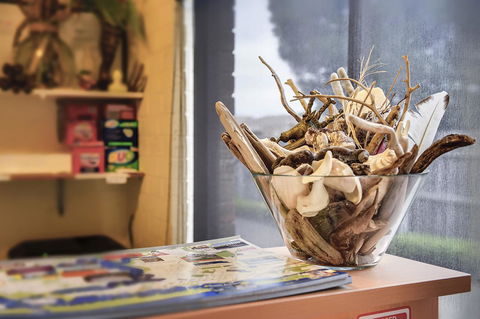 Allambi Holiday Apartments - Kempsey Accommodation 22