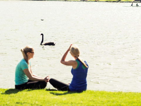 Mercure Melbourne Albert Park - Kempsey Accommodation 39