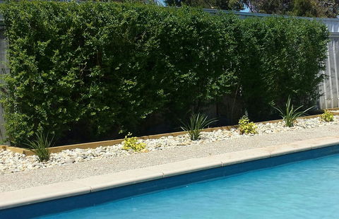 Robinvale Bridge Motel - Kempsey Accommodation 0