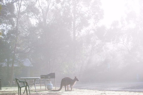 Gariwerd Motel - Kempsey Accommodation 18