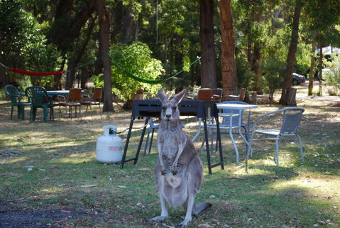 Gariwerd Motel - Kempsey Accommodation 26