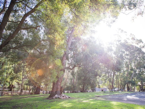 Gariwerd Motel - Kempsey Accommodation 7