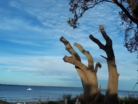 Apartments In Phillip Island Towers - Block C - Kempsey Accommodation 10