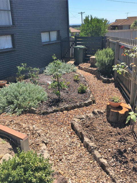 The Cosy Bungalow - Kempsey Accommodation 14