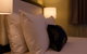Park Squire Motor Inn & Serviced Apartments - thumb 5