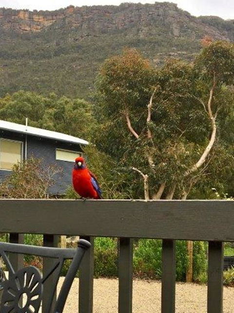 Kangurra Holiday House - Kempsey Accommodation 15